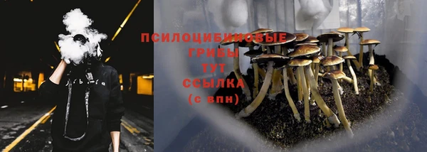 амф Козельск