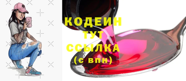 прущие грибы Мурманск