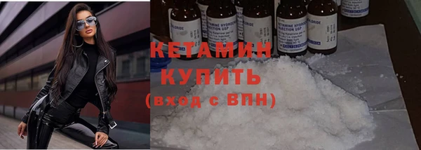 прущие грибы Мурманск
