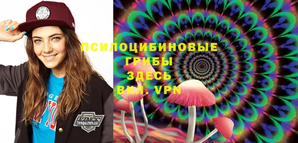 шишки Козловка