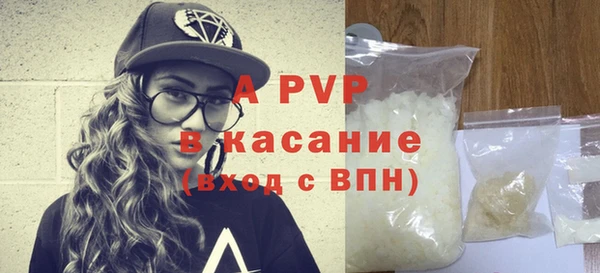 стафф Корсаков