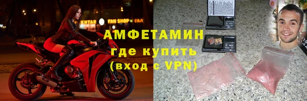 прущие грибы Мурманск
