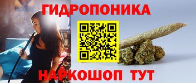 шишки Севастополь