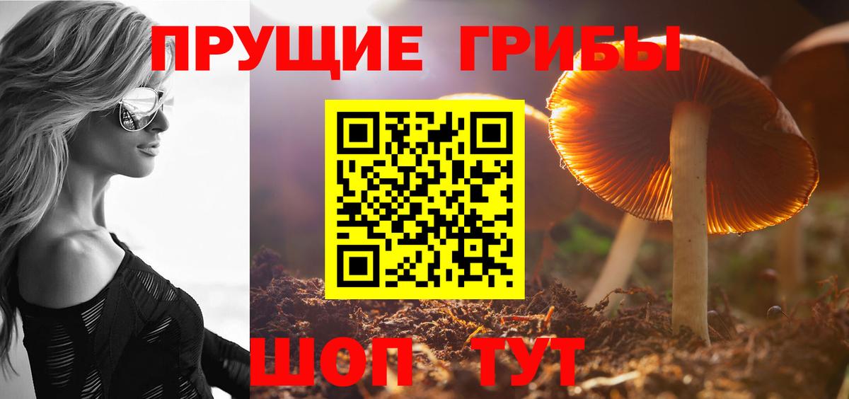 Новошахтинск  Псилоцибиновые грибы MAGIC MUSHROOMS  Галлюциногенные грибы мухоморы  Вход с VPN 